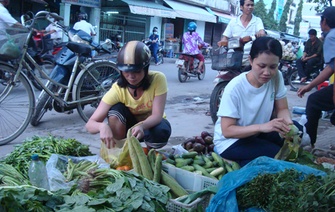 Bảng giá thị trường Hải Dương ngày 13/03/2018