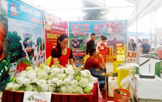 Hội chợ thương mại quốc tế Việt - Trung (Lào Cai 2017) - nơi kết nối giao thương nông sản, thực phẩm tỉnh Hải Dương