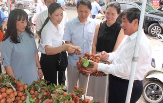 Tích cực triển khai các hoạt động hỗ trợ tiêu thụ nông sản của tỉnh Hải Dương