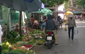 Bảng giá thị trường Hải Dương ngày 15/3/2018